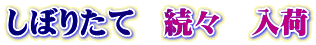 しぼりたて　続々　入荷