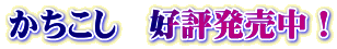 かちこし　好評発売中！
