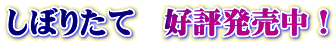 しぼりたて　好評発売中！